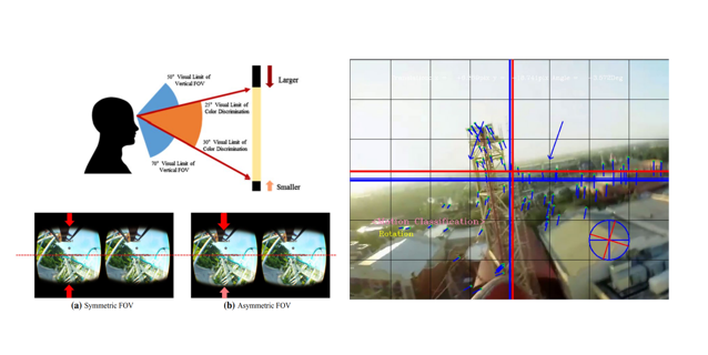 VR Motion Sickness Mitigation